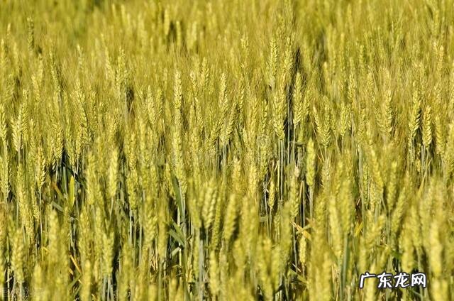 在非洲工作的你，与黑人姑娘恋爱时发生了哪些快乐的事情