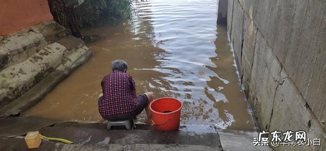 洪水泛滥无情，广西人为何每次面对大洪水基本都是不惊不慌呢