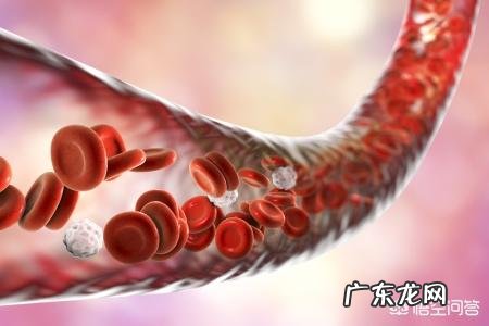 哪种能监测血压的手表准点?