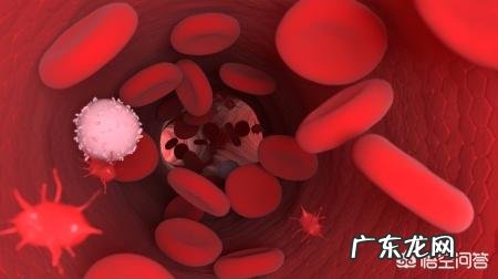 哪种能监测血压的手表准点?