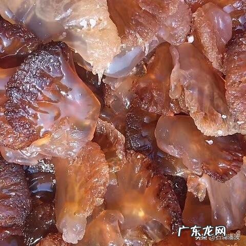 低脂肪而且美味的食物有哪些?