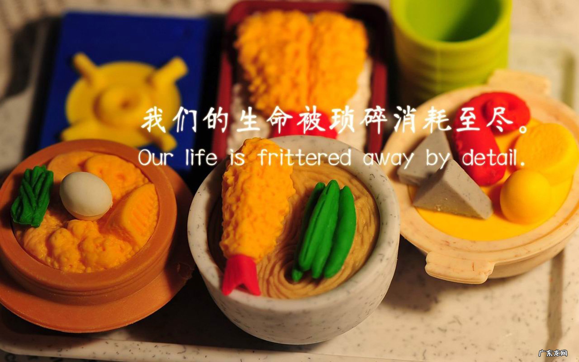 减脂过程中，脂肪以什么方式排出体外