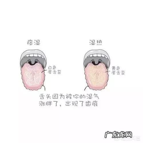 临床执业医师实践技能考试操作的评分标准是什么?