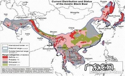 问,狗熊跟棕熊有什么区别