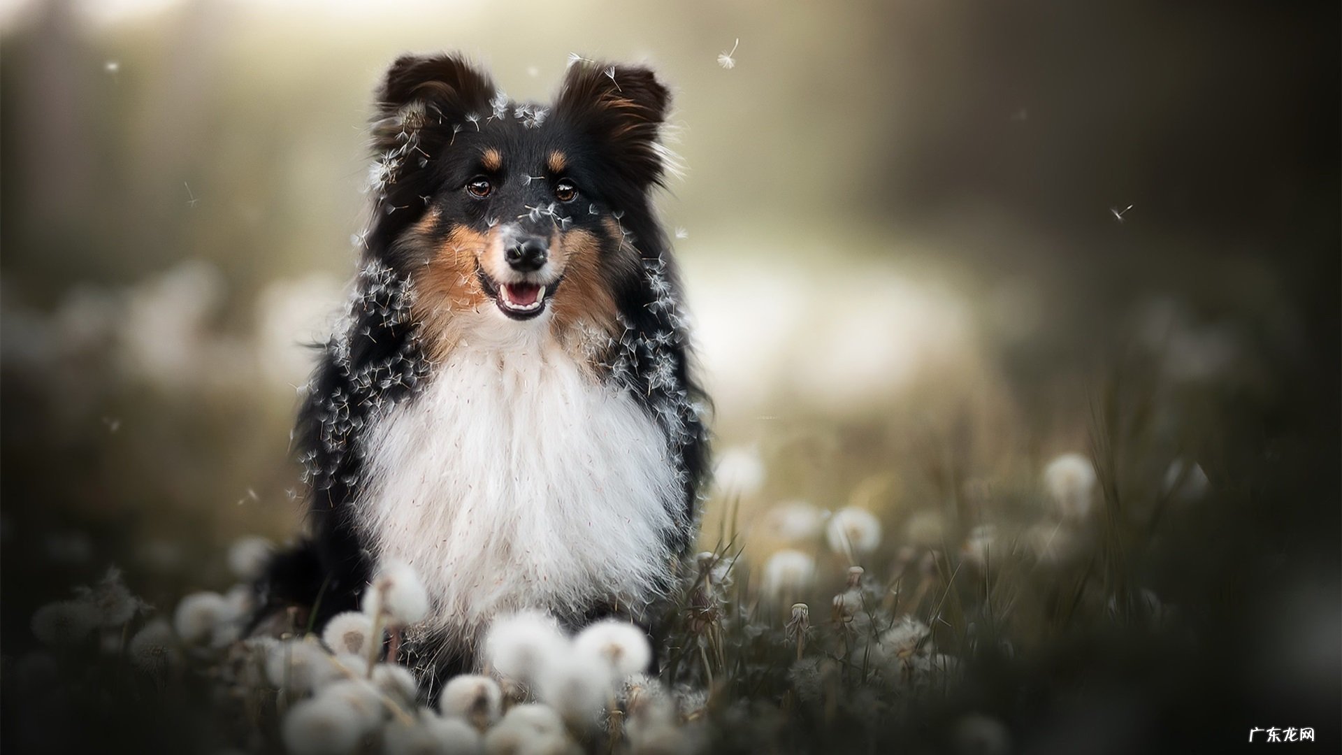 一米六三的女生标准体重范围