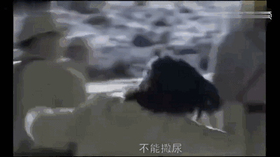 在西藏无人区,男人在野外要蹲着小便,是真的吗