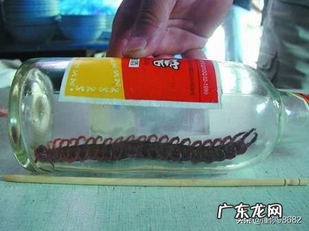 家里有小蜈蚣会不会又大蜈蚣在?