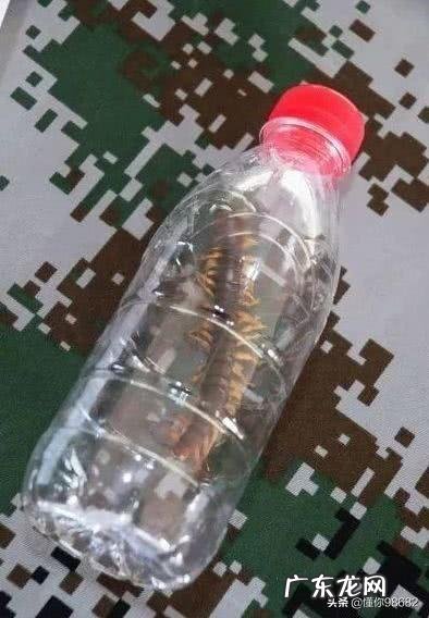 家里有小蜈蚣会不会又大蜈蚣在?