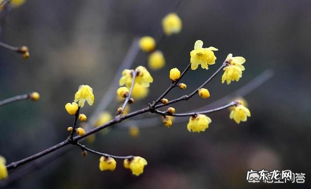 春夏秋冬的衣服颜色该怎样搭配才好看？