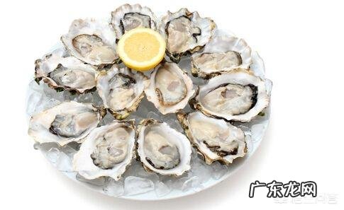 十个月的宝宝补锌选择什么牌子好?