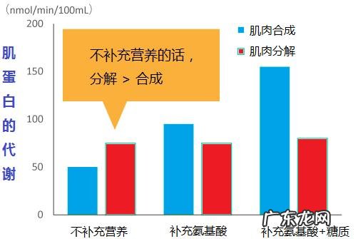 夜跑一族晚上跑完之后该不该吃东西,该怎么吃?