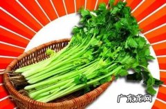 吃大蒜后怎么能快速让口气清新？ 吃大蒜怎么能快速去味