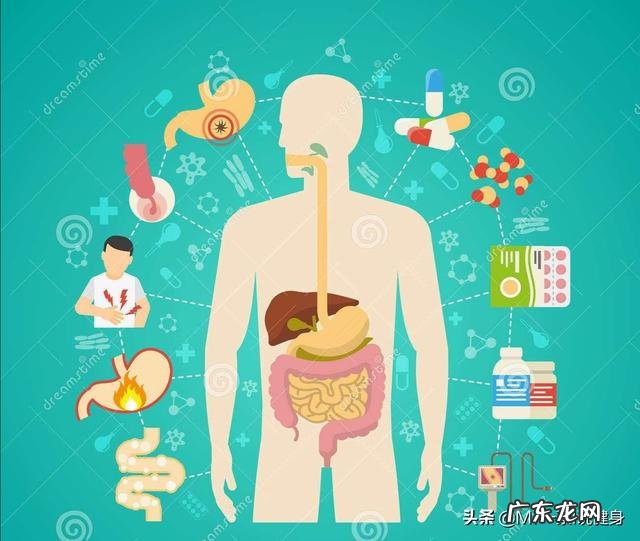 你们觉得女生太胖,必须减肥吗?