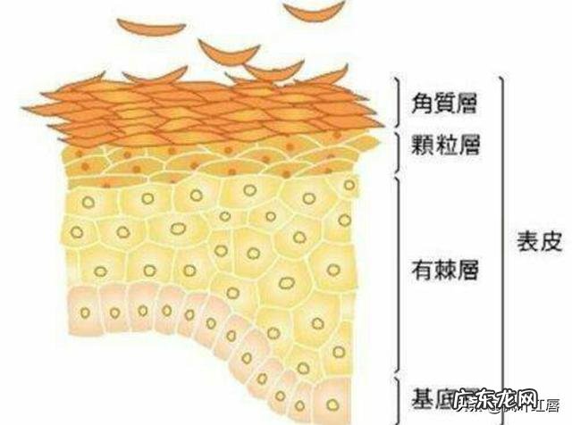 哪些方法可以改善皮肤暗黄和毛孔粗大