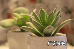 自媒体标题怎么写？简介怎么写吸引人？