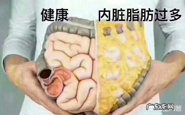 有哪些海产品的饱腹感很强,适合减肥的人吃?