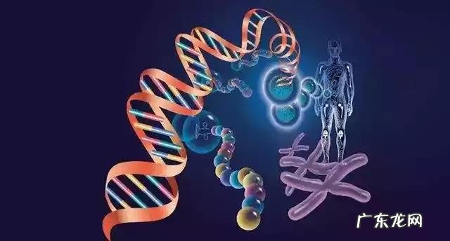 基因检测肺癌评估风险准确吗