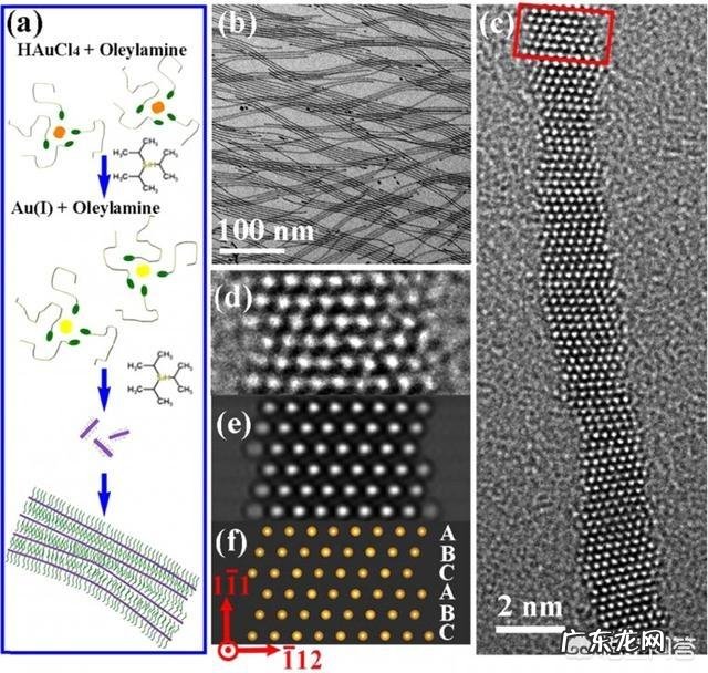 能量可以转化为质量吗能量和质量是一体的吗
