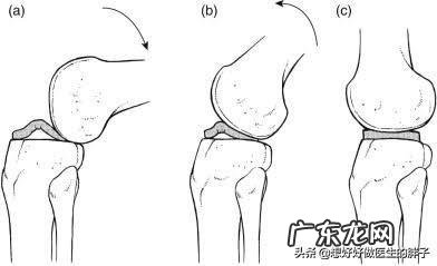 为什么运动完全身关节响？