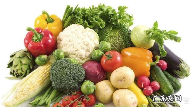 怎么让血管保持年轻又健康的状态