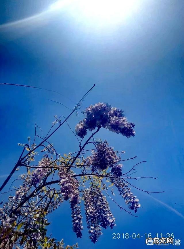 女孩子喜欢什么样的男孩子?