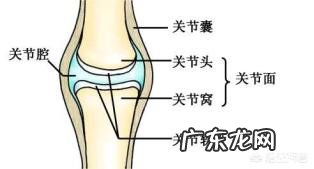 运动时听见关节响是怎么回事?