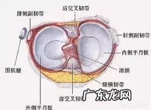 运动时听见关节响是怎么回事?