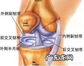 运动时听见关节响是怎么回事?