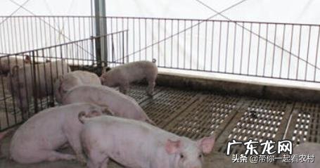 食管癌的症状表现有哪些？