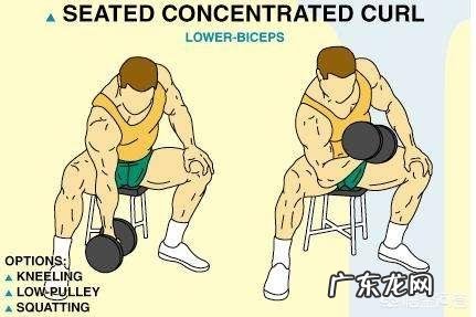 一个5kg的哑铃,也可以很有效的强化肱二头肌吗