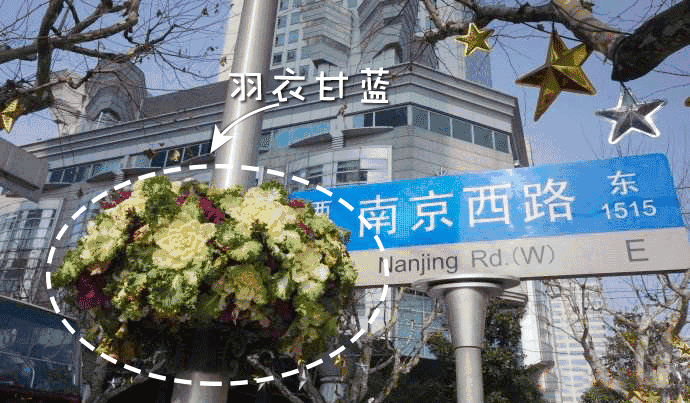 有人吃过藜麦吗？什么牌子的比较好呐？