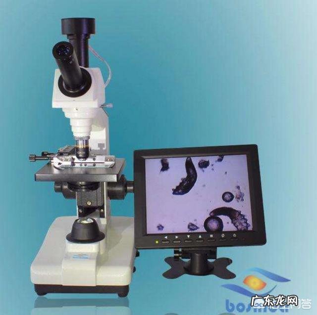 有痘印和黑头、毛孔粗大,适合使用什么护肤品或者药妆品?