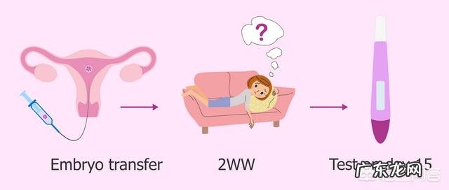 做试管婴儿要注意什么呢?