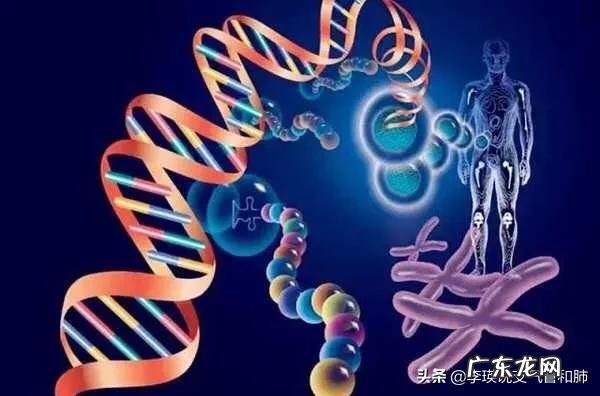 慢阻肺是种可怕的慢性疾病吗有何依据