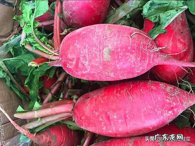 冬季什么蔬菜最便宜,对身体又好?