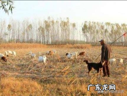 冬季什么蔬菜最便宜,对身体又好?