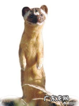 你知道哪些有趣的民间故事?