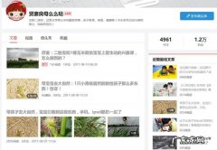 为什么别人自己带小孩会瘦 而我也是自己带小孩不瘦