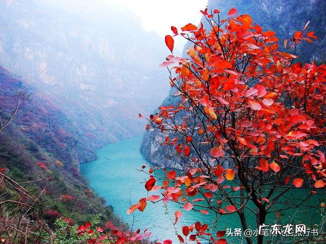 大自然中哪种景色令你震撼？