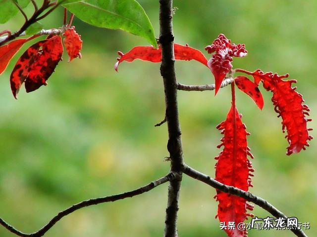 大自然中哪种景色令你震撼？