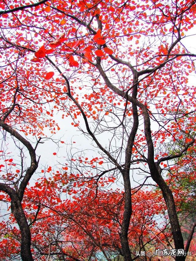 大自然中哪种景色令你震撼？