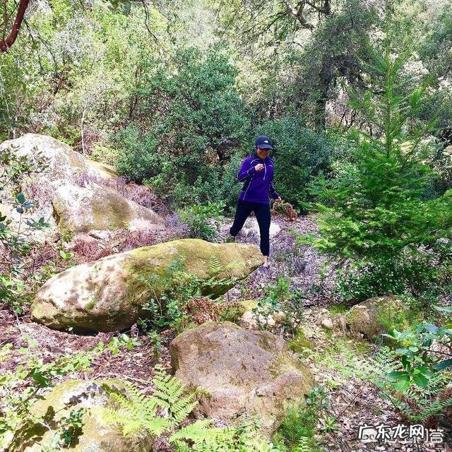 上半身很瘦但是肚子上肉很多，如何健身？ 健身快速瘦肚子