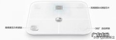 哪个牌子的体脂称比较准，比较好用，求推荐？