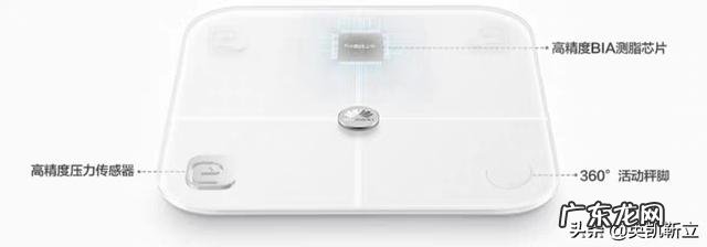 哪个牌子的体脂称比较准,比较好用,求推荐?