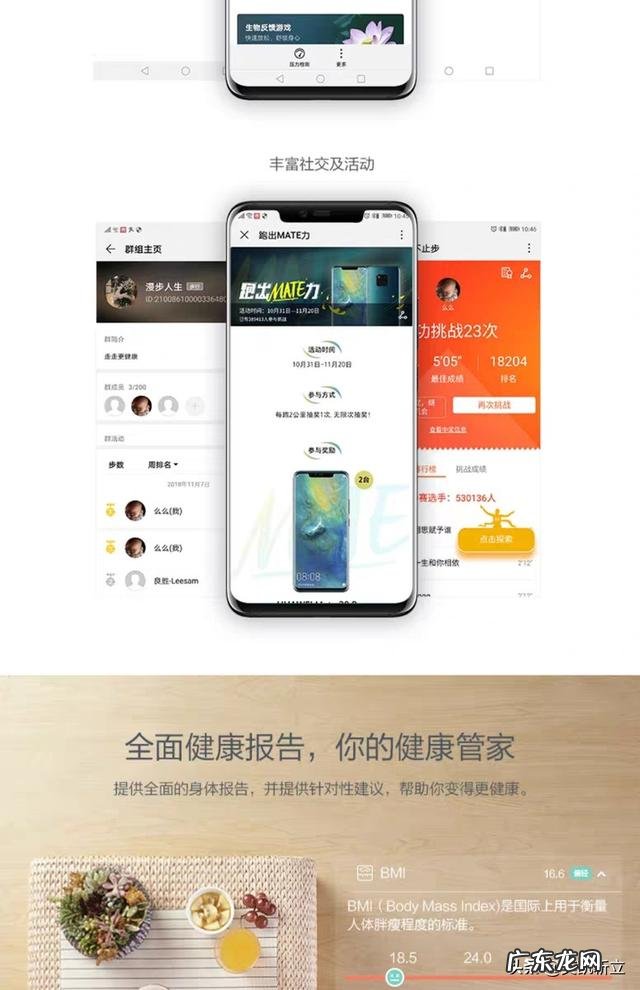 哪个牌子的体脂称比较准,比较好用,求推荐?