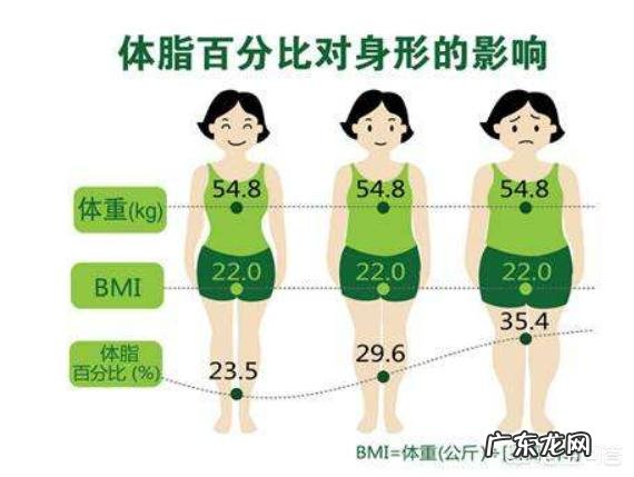 哪个牌子的体脂称比较准,比较好用,求推荐?