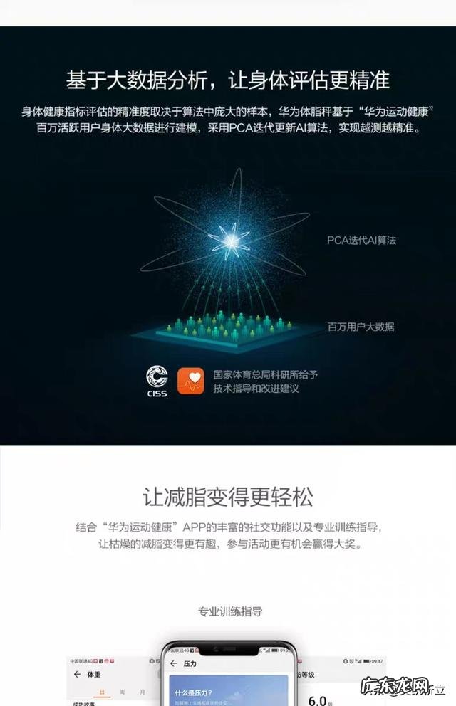 哪个牌子的体脂称比较准,比较好用,求推荐?