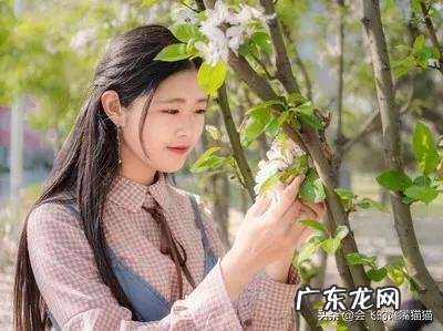 北方人的饮食习惯是什么?