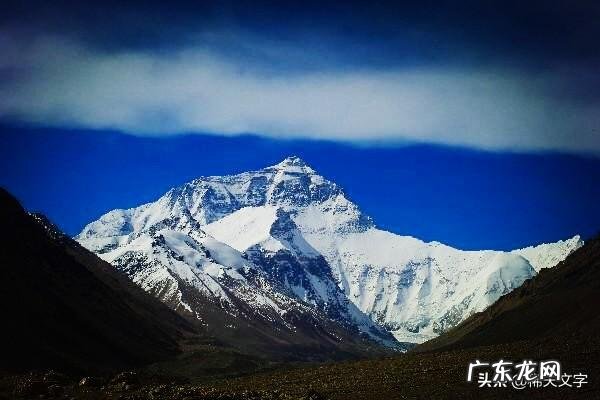 蛇泡酒真的有功效吗?泡出来的酒是什么成分有人研究过吗?