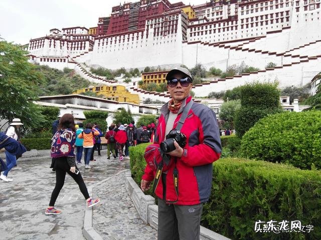 蛇泡酒真的有功效吗?泡出来的酒是什么成分有人研究过吗?